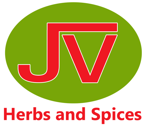 jv international logo